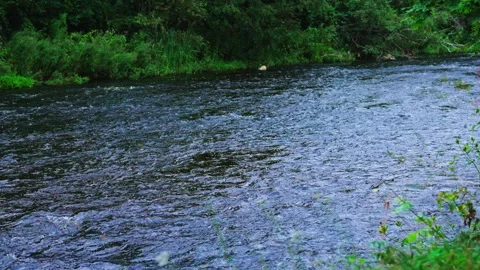 Slow River Flow Under Green Riverbank Stock Footage 343430697