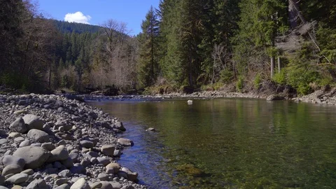Slow river with rocks and trees Stock Footage 87312765