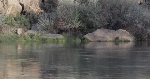 Slow River with Side Lit Grass and Rocks Stockbeeldmateriaal 333599029