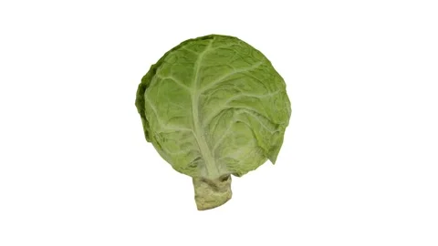 Slow rotation of the head of cabbage. Close-up. Seamless loop. Stock Footage 148287285