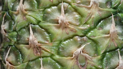 Slow rotation of pineapple, macro frame, green peel, texture. Stock Footage 221972919