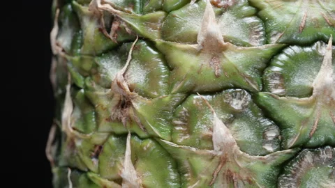Slow rotation of pineapple, macro frame, green peel, texture. Panorama Stock Footage 221974240