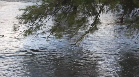 Slow Running River Video stock 55821181