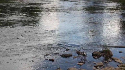 Slow running river by the rocks Vidéo 55822292