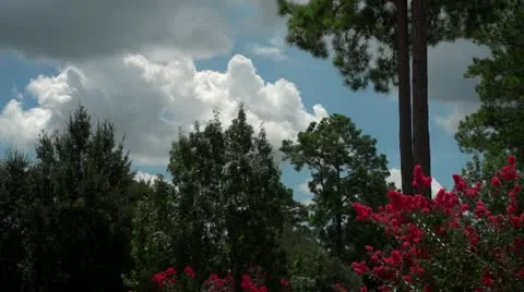 Slow Shutter Clouds ll.mp4 库存影片 11401634