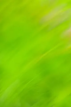 Slow shutter speed with motion green blur effect. Decorative green backdrop f 库存照片