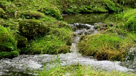 Slow shutter speed, motion photography. Nature background. Stock Footage 163262602
