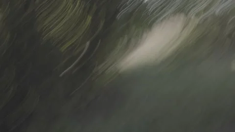 Slow shutter video of forest Stock Footage 245660644