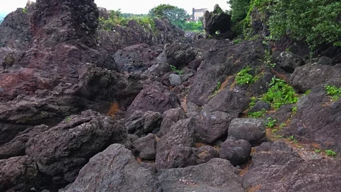 Slow Sideways Glide Through Volcanic Rock Formations at Socheonji Reservoir Jeju 库存影片 341548200