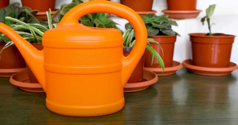 Slow siding from right to left along orange garden watering can Video stock 126282329