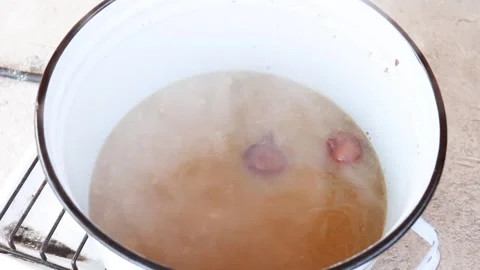 Slow simmer of bone broth in an enamel pot, rich homemade stock in progress Stock Footage 344032050