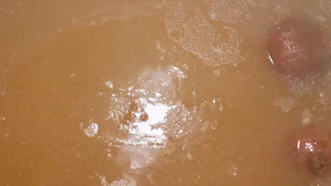 Slow-simmered bone broth in a home kitchen: rich, comforting stock in progress Stock Footage 344031869