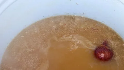 Slow-simmered bone broth in a white enamel pot: long, rich home kitchen simmer Stock Footage 344032042