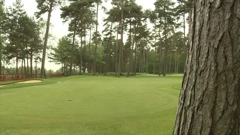 Slow slide forward past tree towards a golfing green Stock Footage 80468528