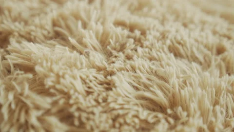 Slow sliding over teddy bear shaggy surface 4K video Stock Footage 168810597