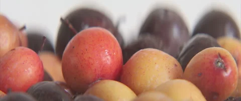 Slow sliding on sorb tree fruit pile 4K scope video Stock Footage 321054044