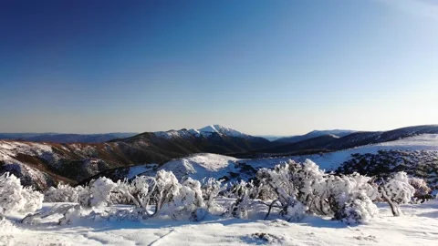 Slow Smooth Flight Over Icy Trees in Front of Snow Capped Mountains Australi Stock Footage 137884967