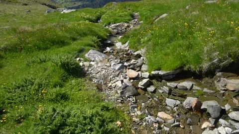 Slow Smotion of Small Stream in Mountains Top Down Footage - 2 Clips Stock Footage 93344761