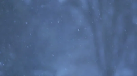 Slow  Snow Falling Stock-Footage 34461093