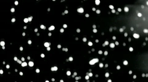 SLow Snow Stock Footage 610233