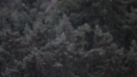 Slow Snow Stock Footage 127061147