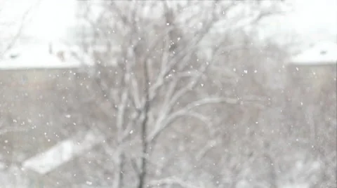 SLOW: The snowfall and the trees  Stock Footage 58606007