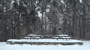 Slow snowfall over benches in the park Stock Footage 85701039