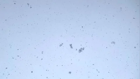 Slow snowfall from the sky on a winter day Stock Footage 281255592