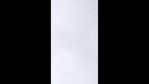 Slow snowfall from the sky on a winter day Stock Footage 292933886