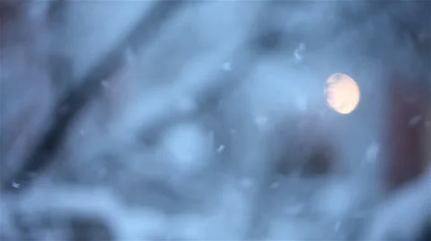 Slow snowflakes falling Stock Footage 4826541