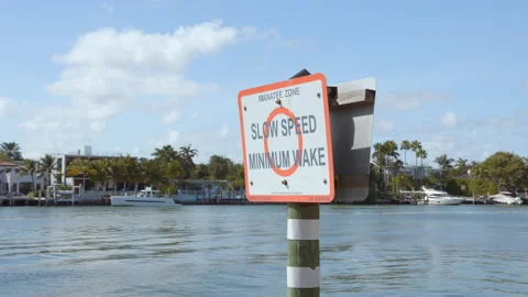 Slow speed minimum wake manatee zone water chanel marker Miami Beach Indian C Stock Footage 142064122