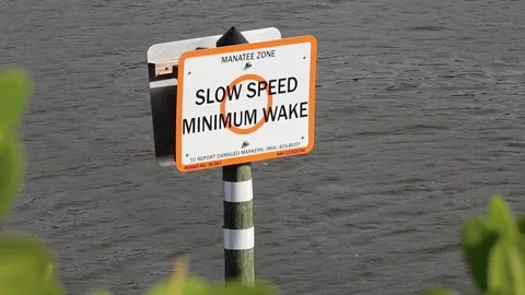 Slow Speed Minimum Wake Manatee Zone sign in a Florida Channel Stock Footage 324351177