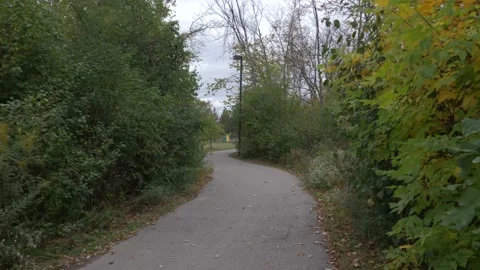 Slow Stable Walk Through Park During Fall Stock Footage 140932488