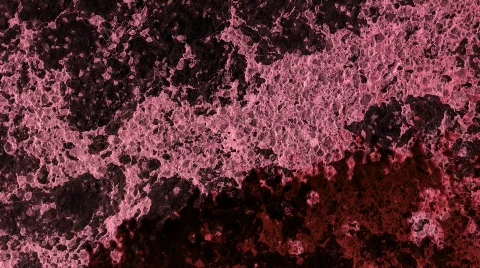 Slow Staining Видео 105430