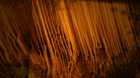 Slow Staining Видео 105563