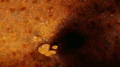 Slow Staining Video stock 105569