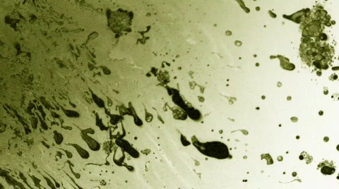 Slow Staining Видео 105579