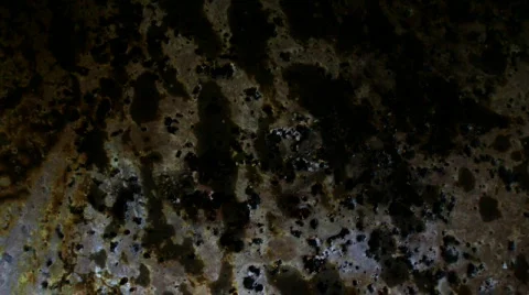 Slow Staining Видео 105585