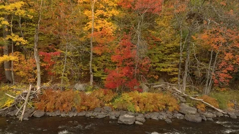 Slow steady drone side shot of fall trees next to active flowing rapids Stock Footage 119219666