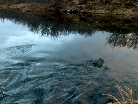 Slow Stream Stock Footage 490393