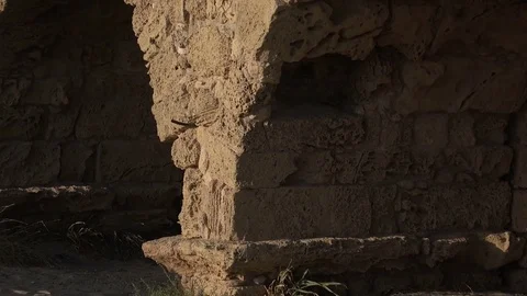Slow Sweep by Arches of Old Roman Aqueduct Stock Footage