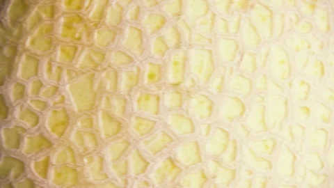 Slow textured melon peel rotates close-up Video stock 94380726