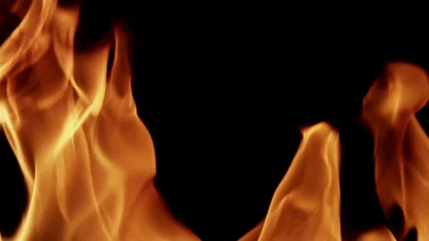Slow thick orange fire flames burning on black background Stock Footage 329731864