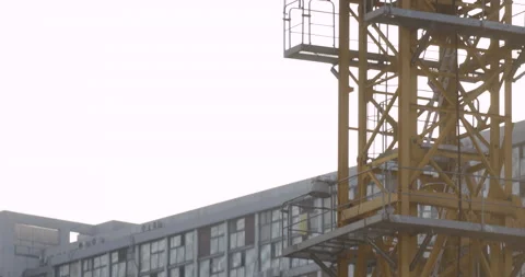 Slow Tilt Up of Chinese Crane Stock Footage 224347248