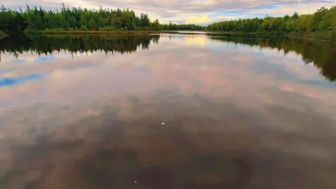 Slow Tilt Down Of A Beautiful Lake Surrounded By Green Trees And Sunlight Video stock 255175053