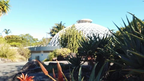 Slow tilt down from tropical dome to reveal orange cactus and flower Video stock 109016628