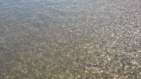 Slow tilt up over river with clear water Stock Footage 310572489