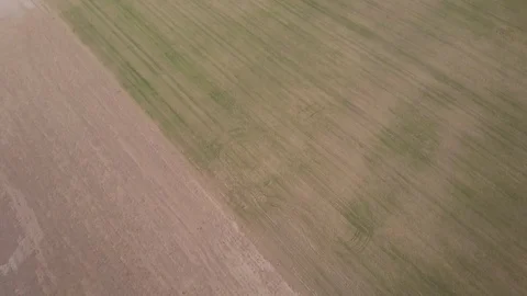 Slow Tilt toward Approaching Rain Stock Footage 100694273