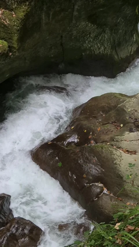 Slow tilt vertical view of rushing stream in Taubenloch gorge Biel Switzerland Stock-Footage 343622457