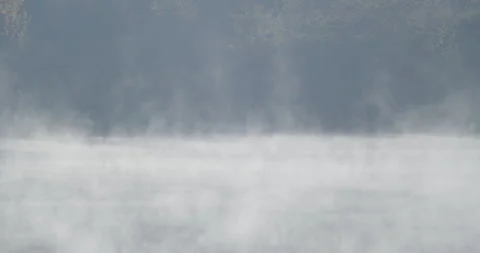 Slow tilting on misty lake surface 4K footage Stock Footage 317217707